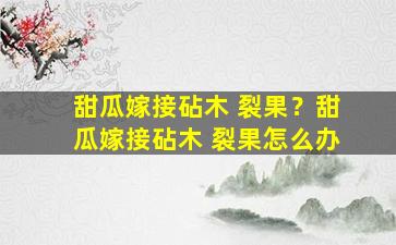 甜瓜嫁接砧木 裂果？甜瓜嫁接砧木 裂果怎么办